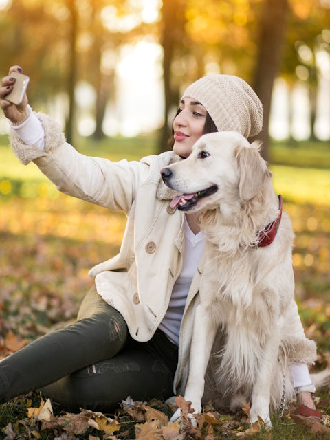 Pet Products Sale