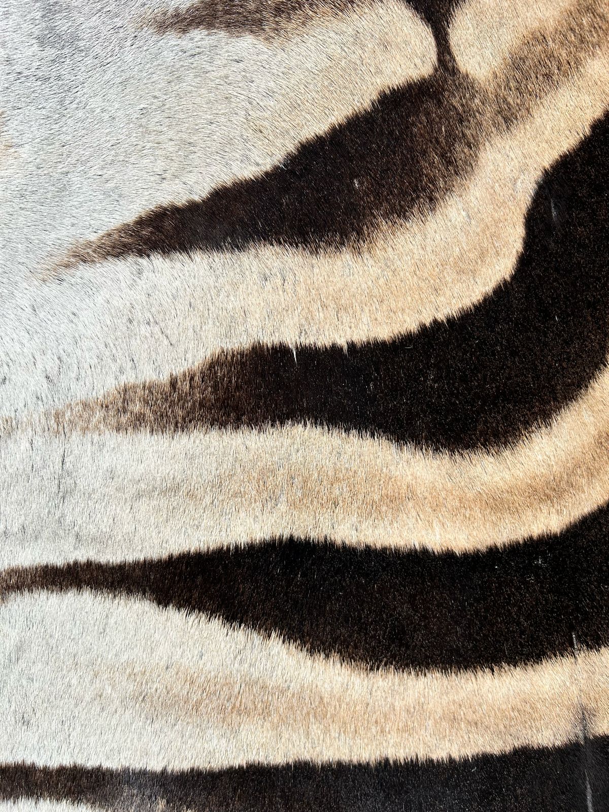 Hides, Skins and Mats