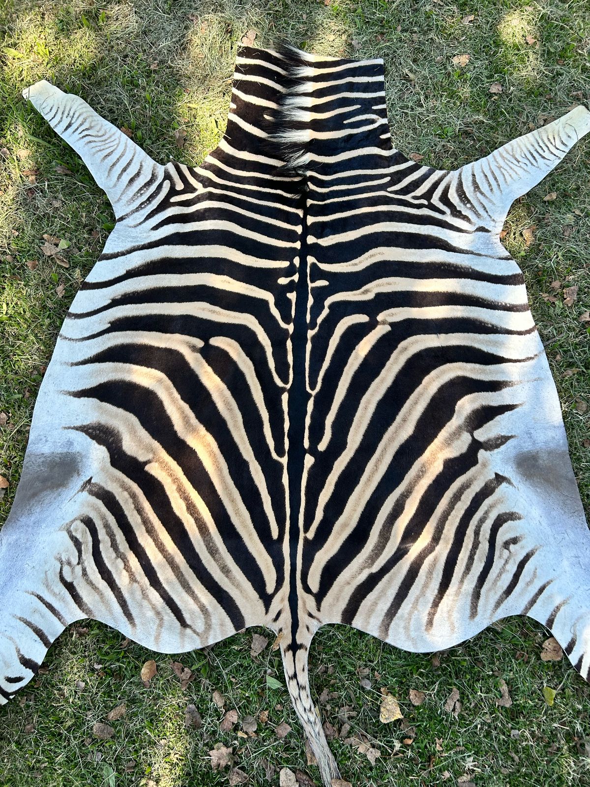 Hides, Skins and Mats