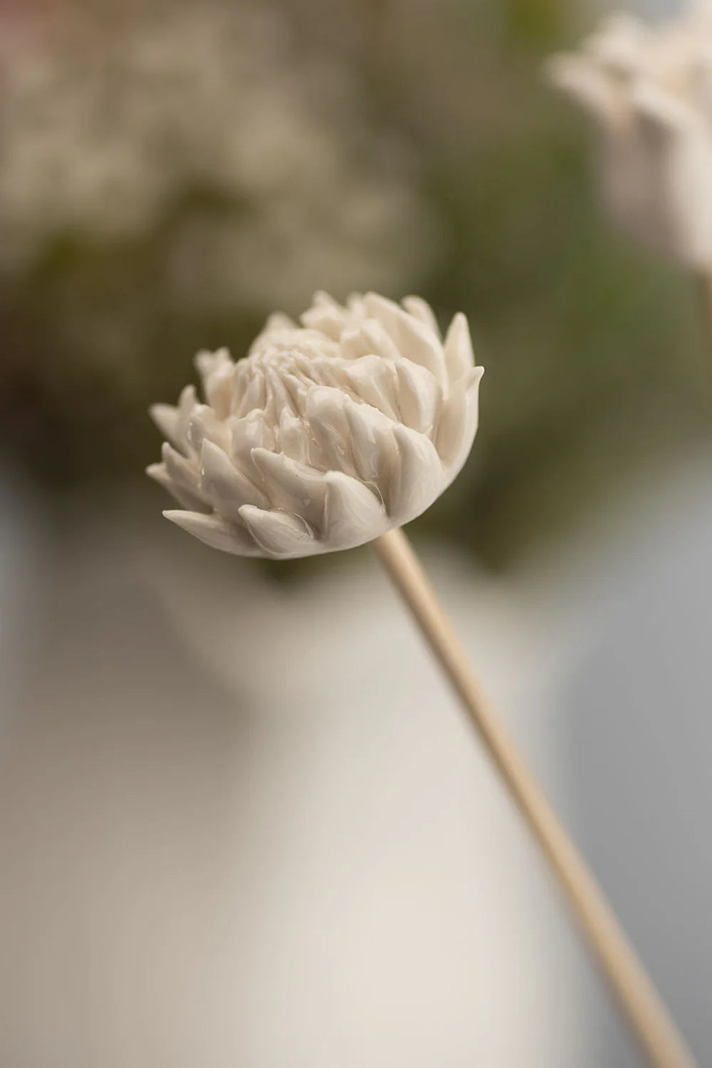 Fynbos Diffuser Gift Set