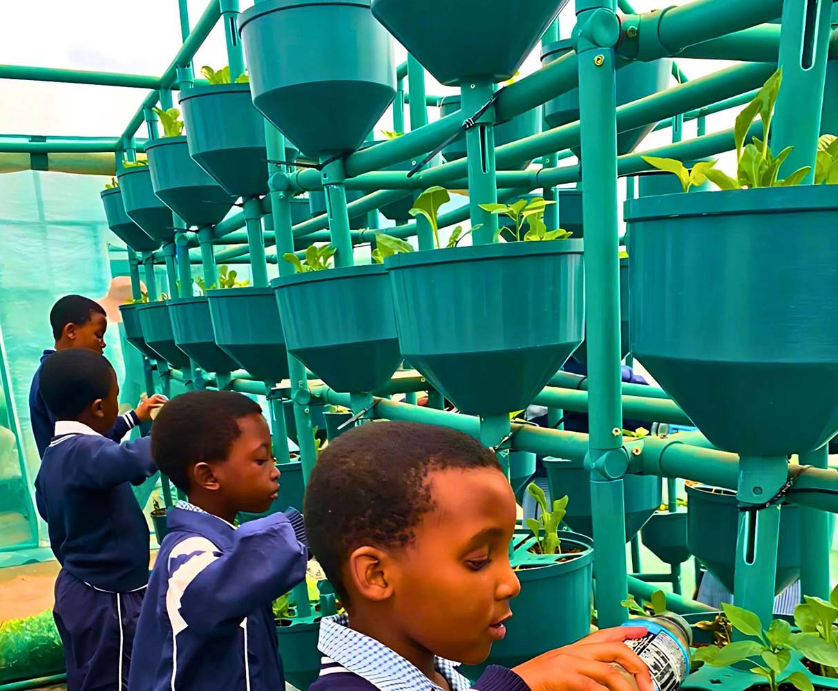 Hydroponic Grower Kit, by African Grower