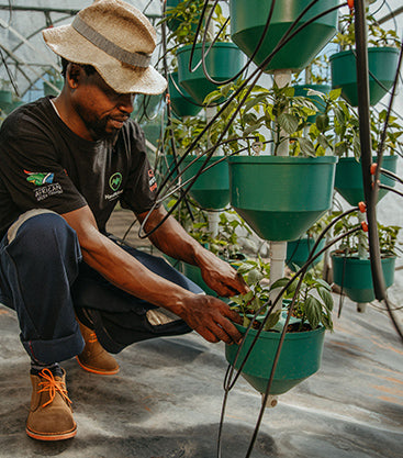 Hydroponic Grower Kit, by African Grower