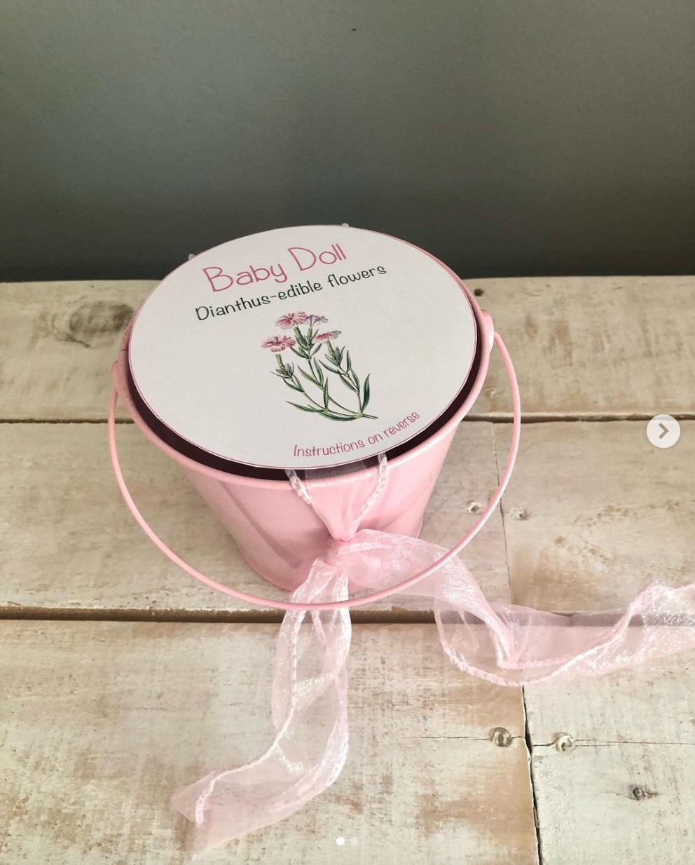 Garden Buckets for Kids