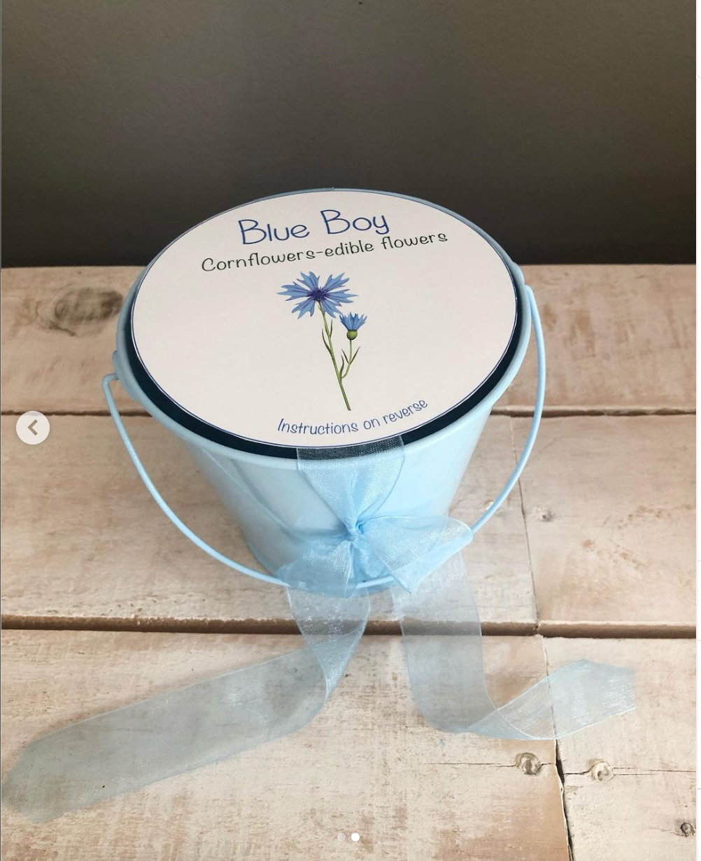 Garden Buckets for Kids