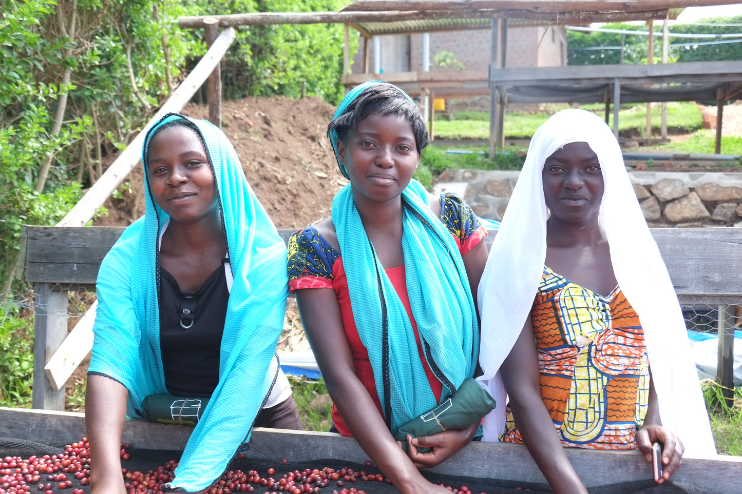 Certified Organic Coffee | D.R. CONGO (North Kivu)