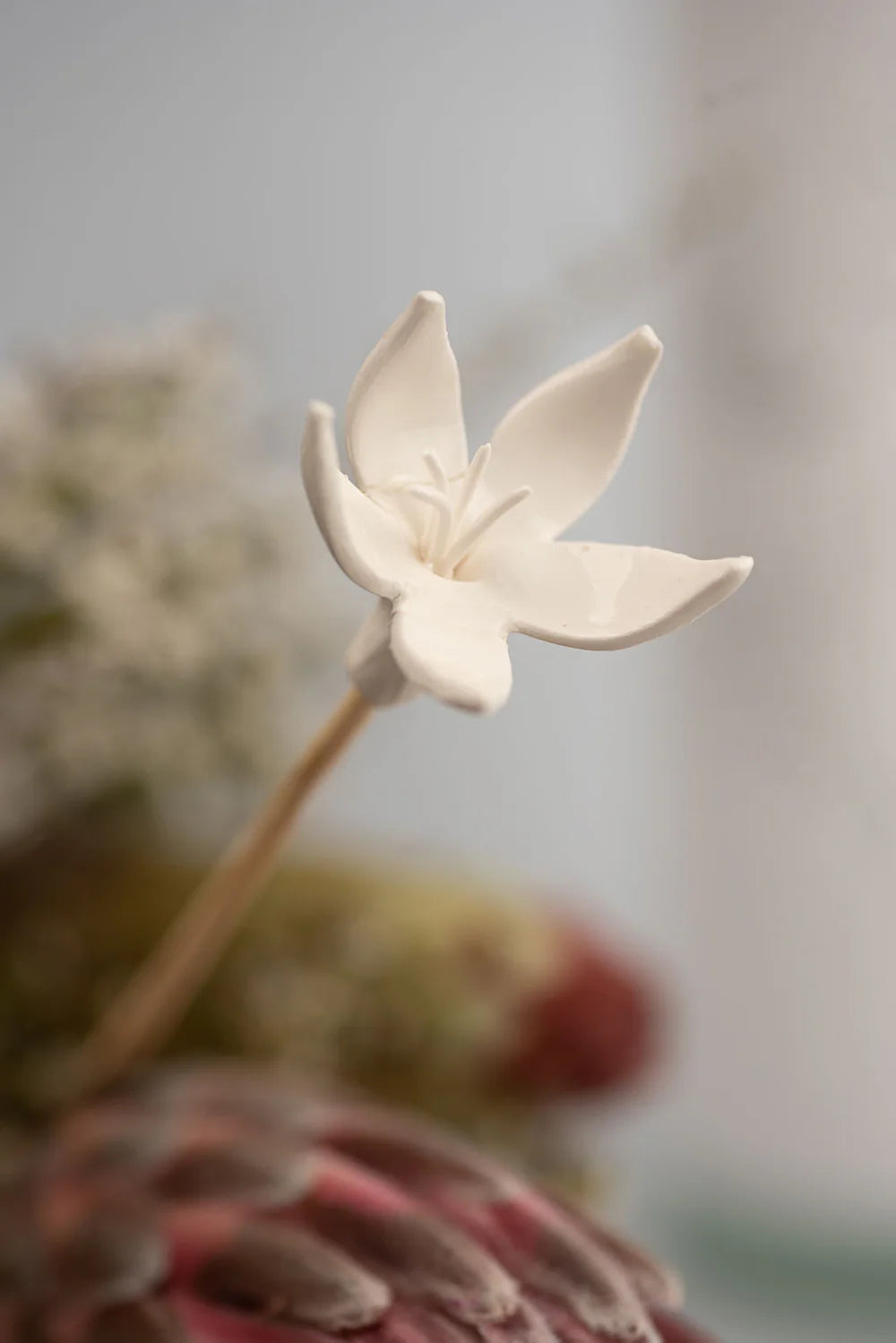 Fynbos Diffuser Gift Set