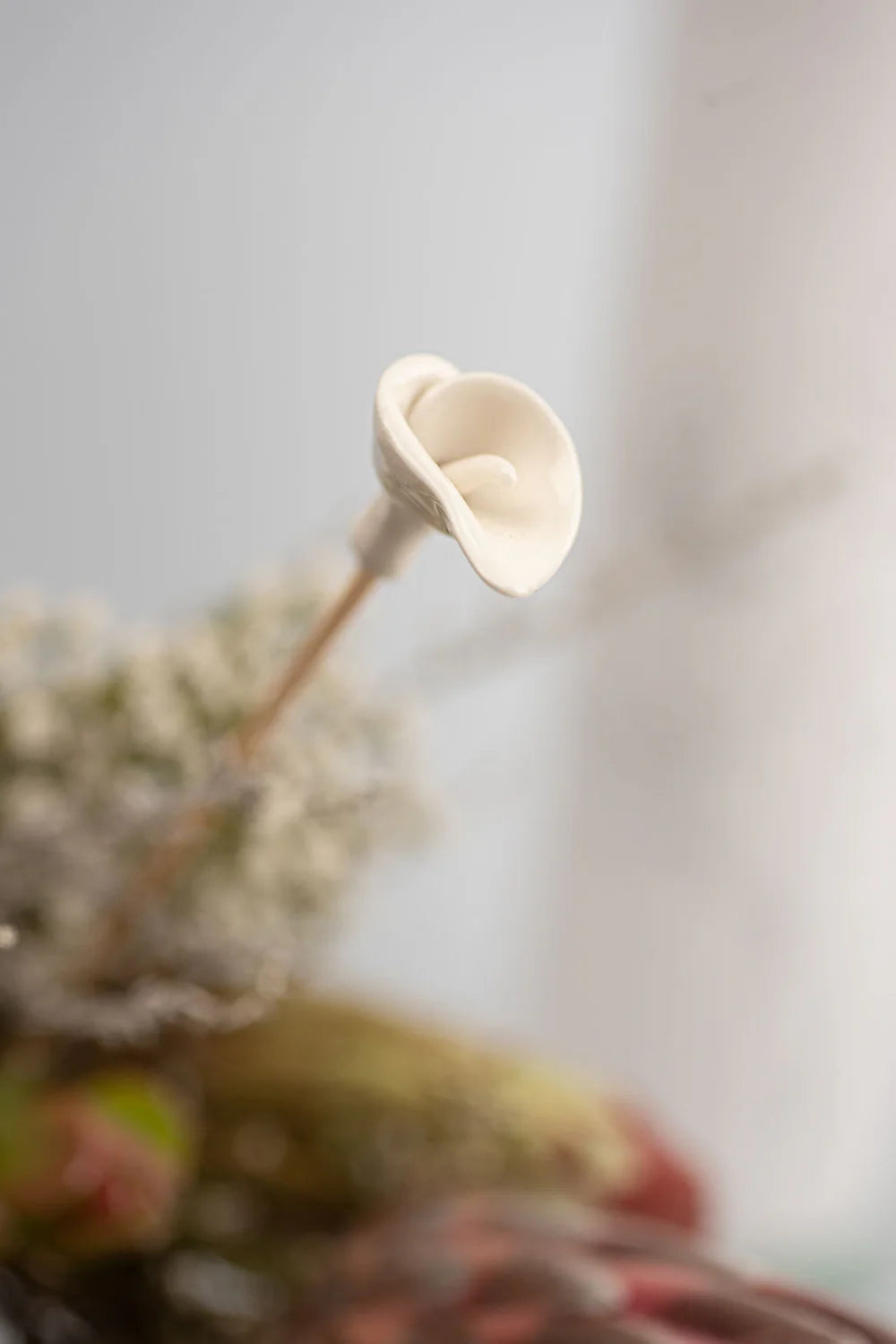 Fynbos Diffuser Gift Set