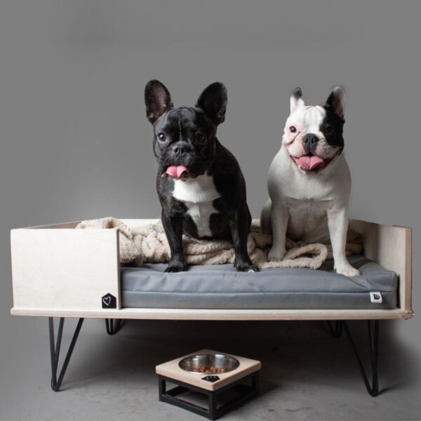Square Dog Bed