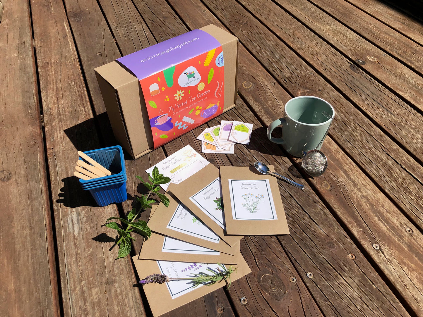 Little Garden Grow Kits for Kids