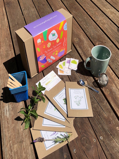 Little Garden Grow Kits for Kids