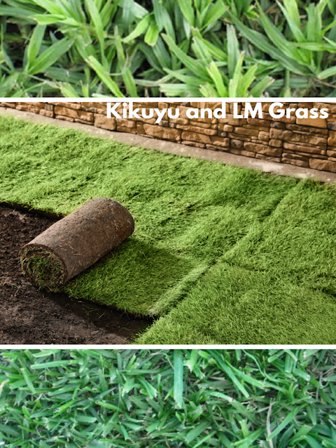 Farm Fresh Instant Lawn