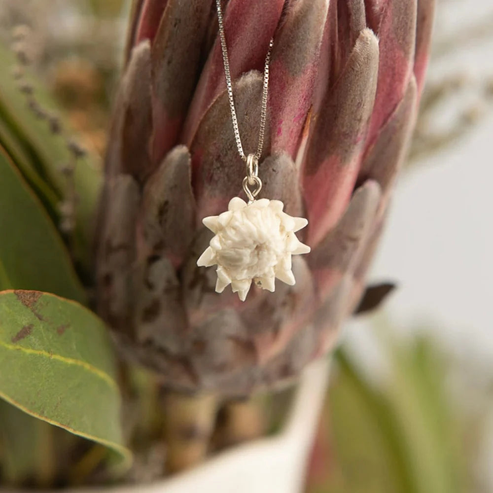 Fynbos Pendants