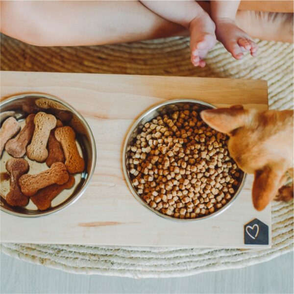 Raised Pet Bowl Holders