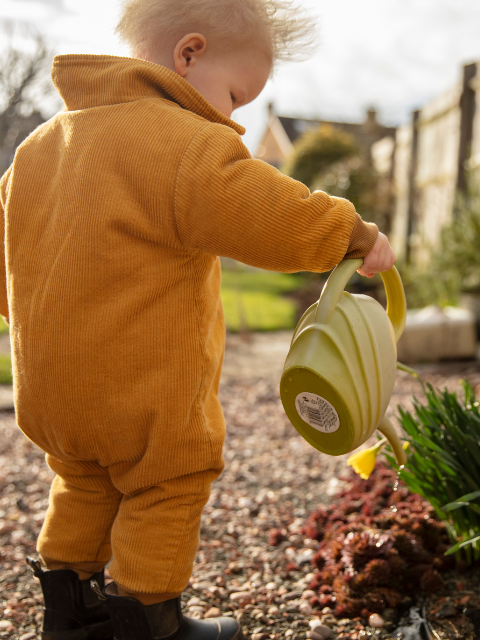 Little Garden Grow Kits for Kids
