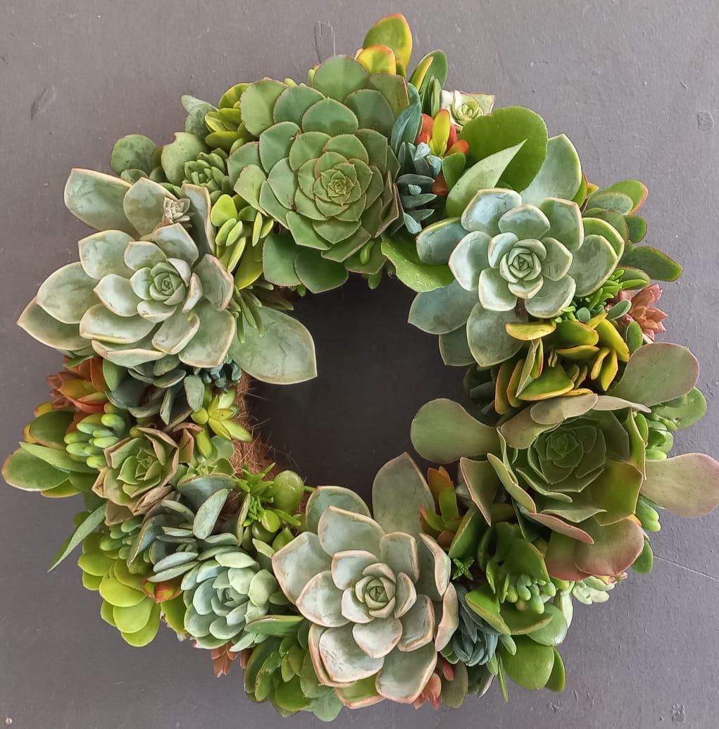 Living Wreaths, by Earthbound Succulent Designs