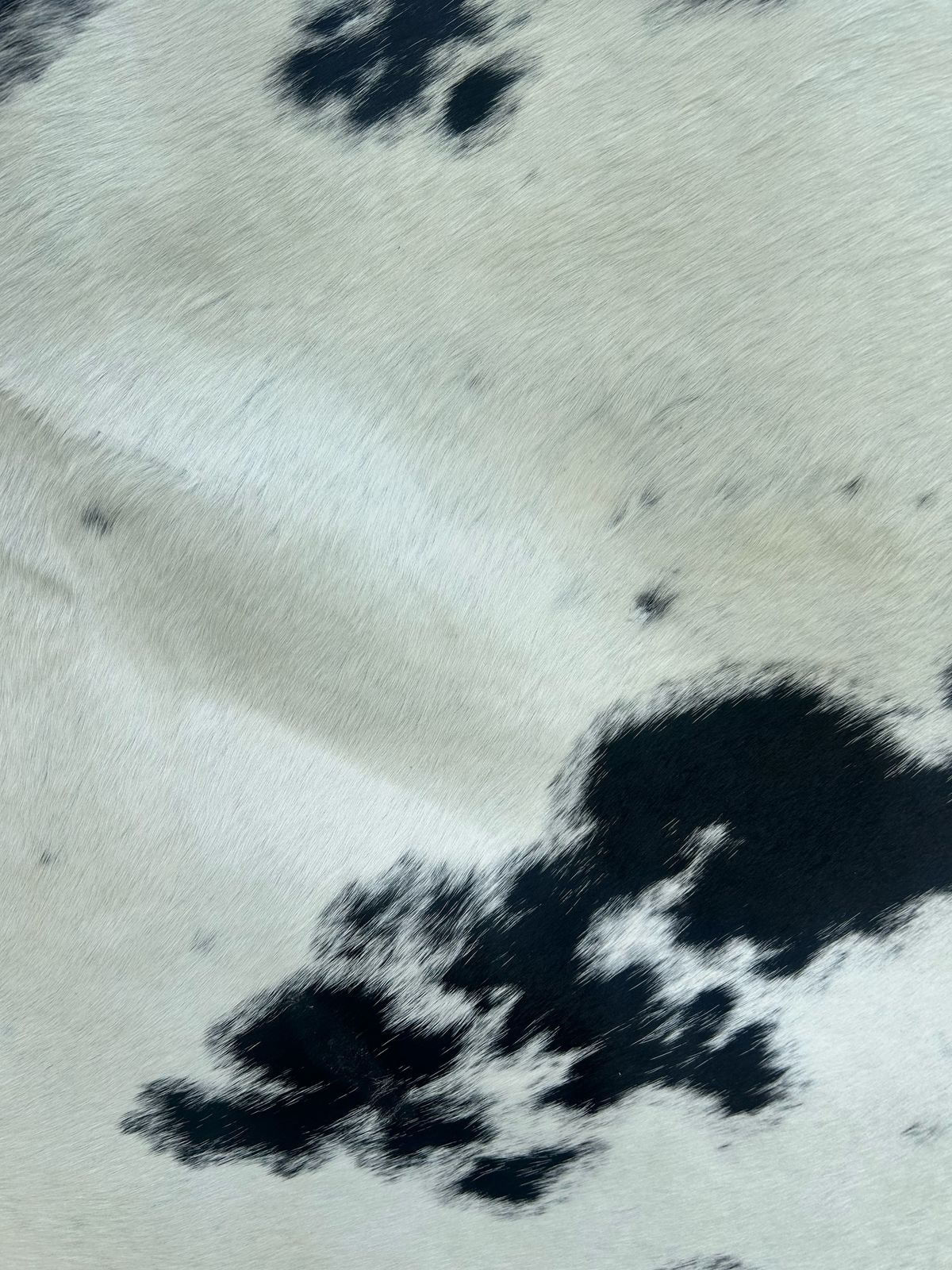 Nguni Hides