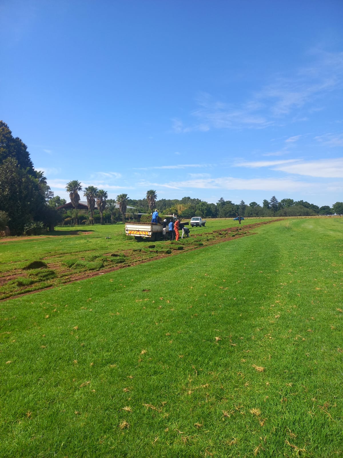 Farm Fresh Instant Lawn