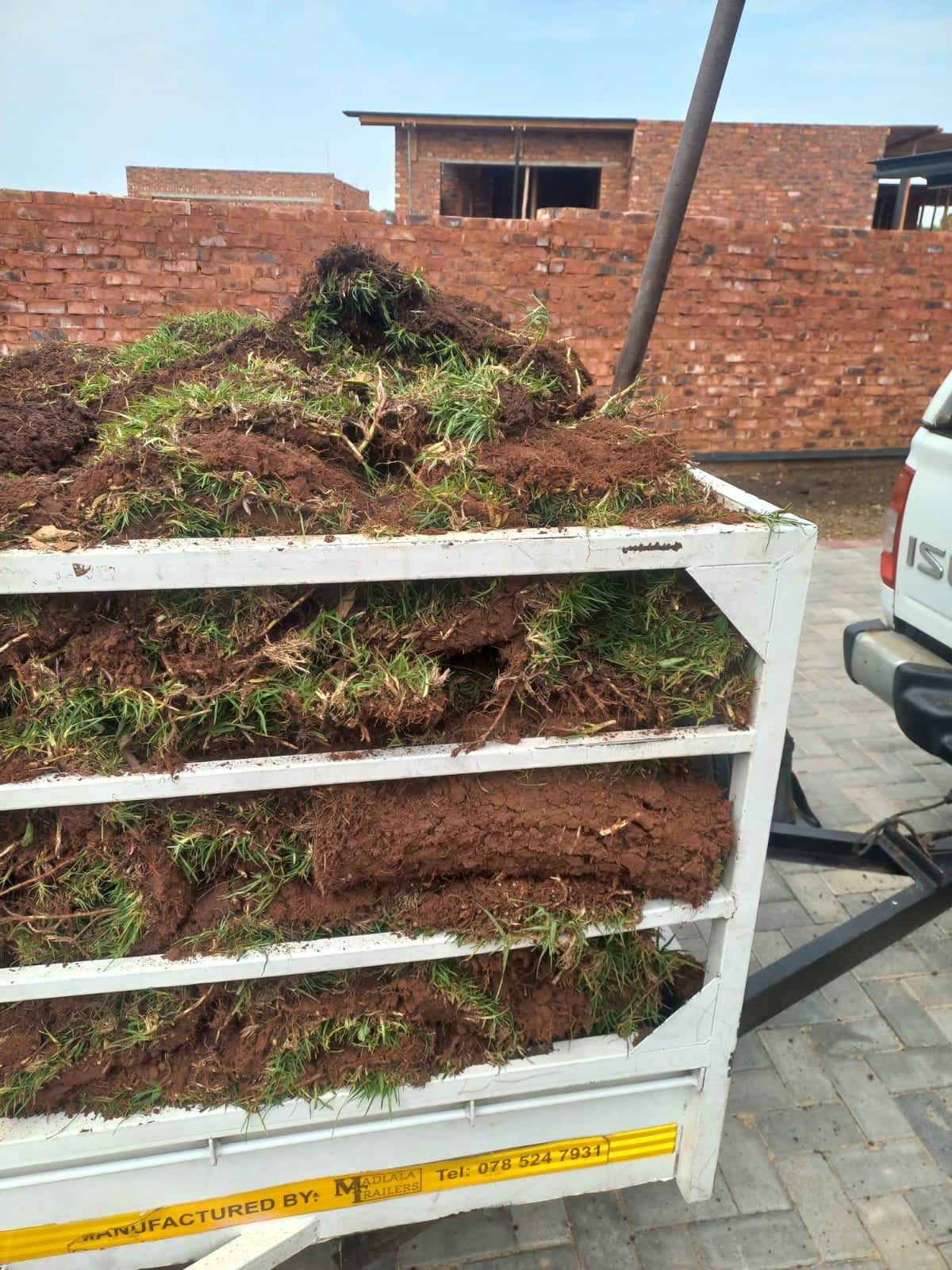 Farm Fresh Instant Lawn