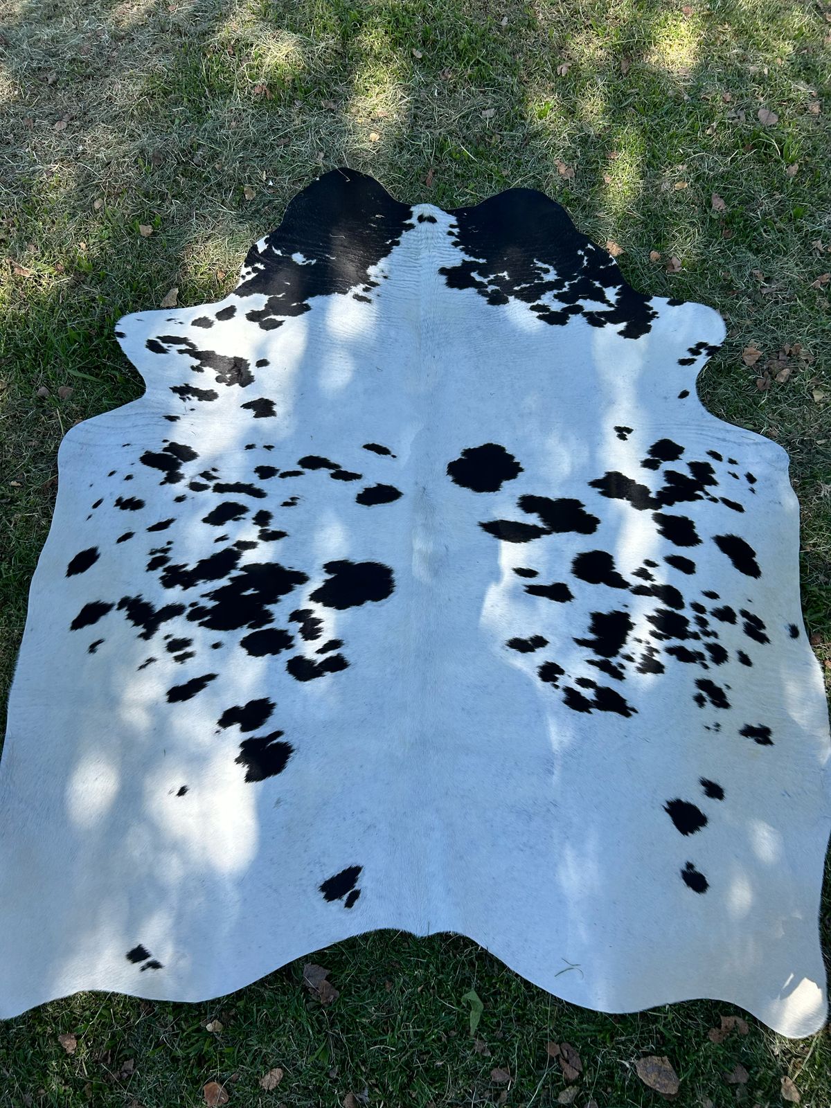 Hides, Skins and Mats