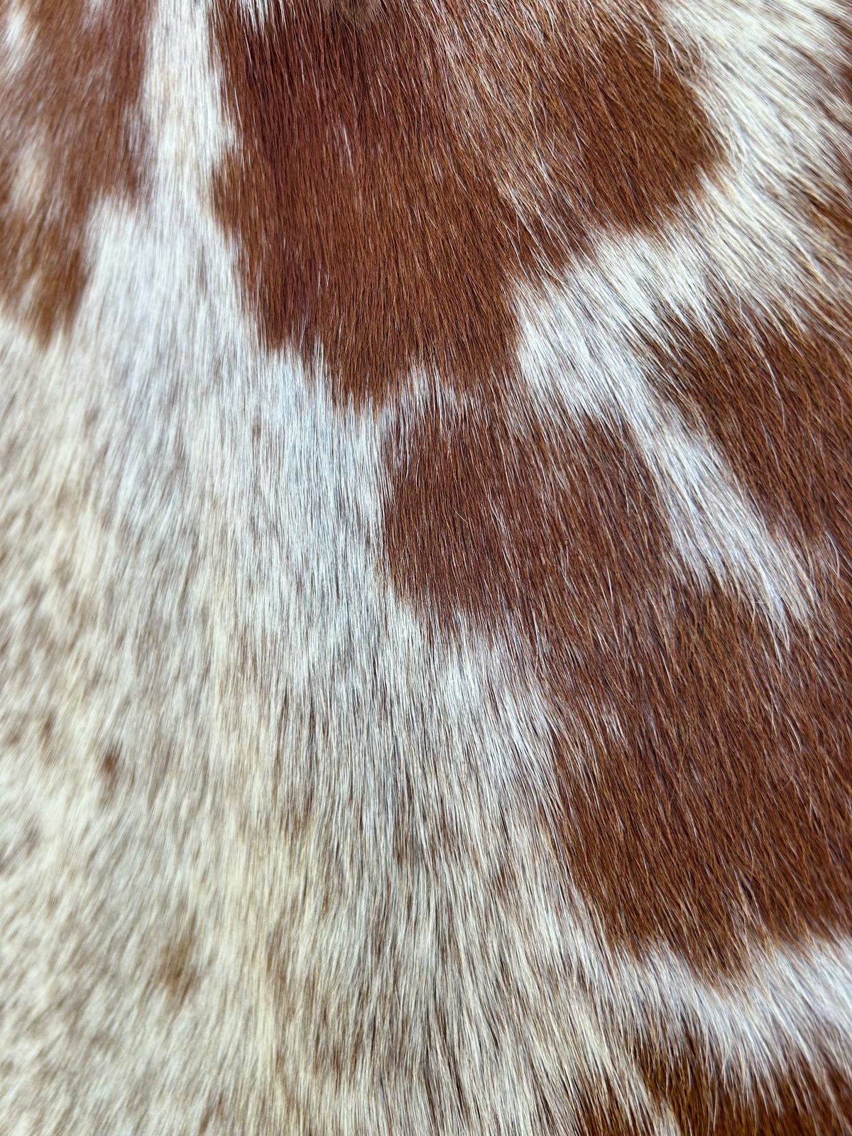 Hides, Skins and Mats
