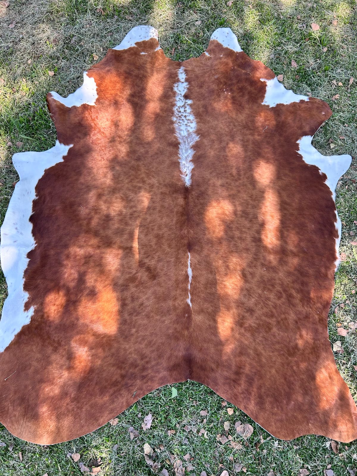 Hides, Skins and Mats