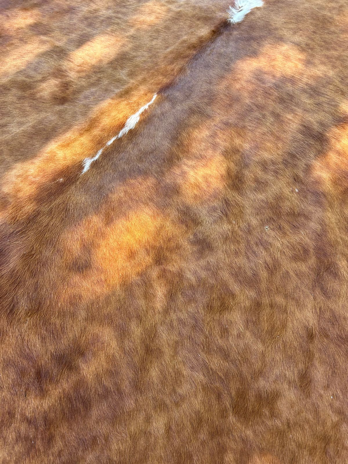 Hides, Skins and Mats