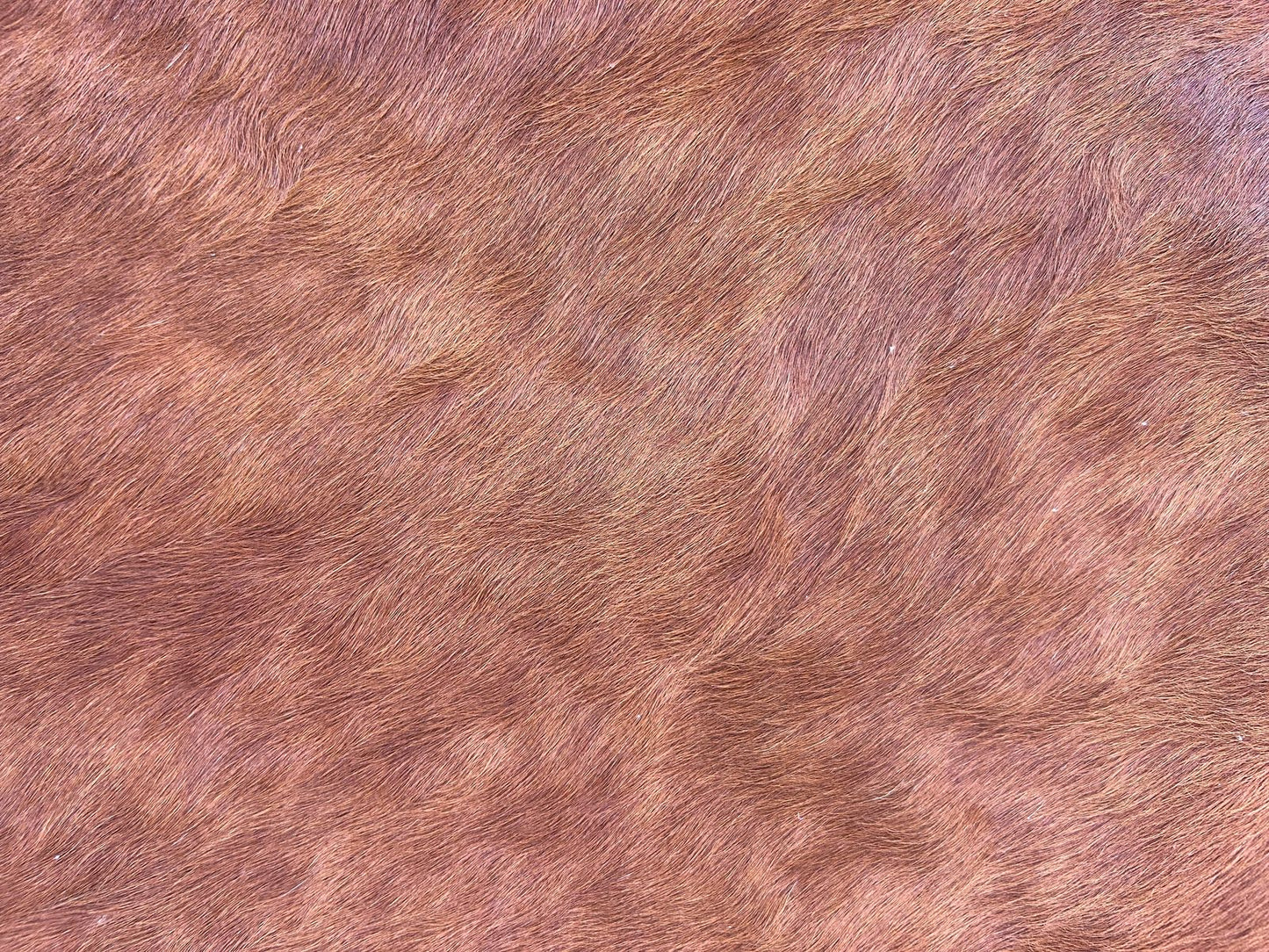 Hides, Skins and Mats