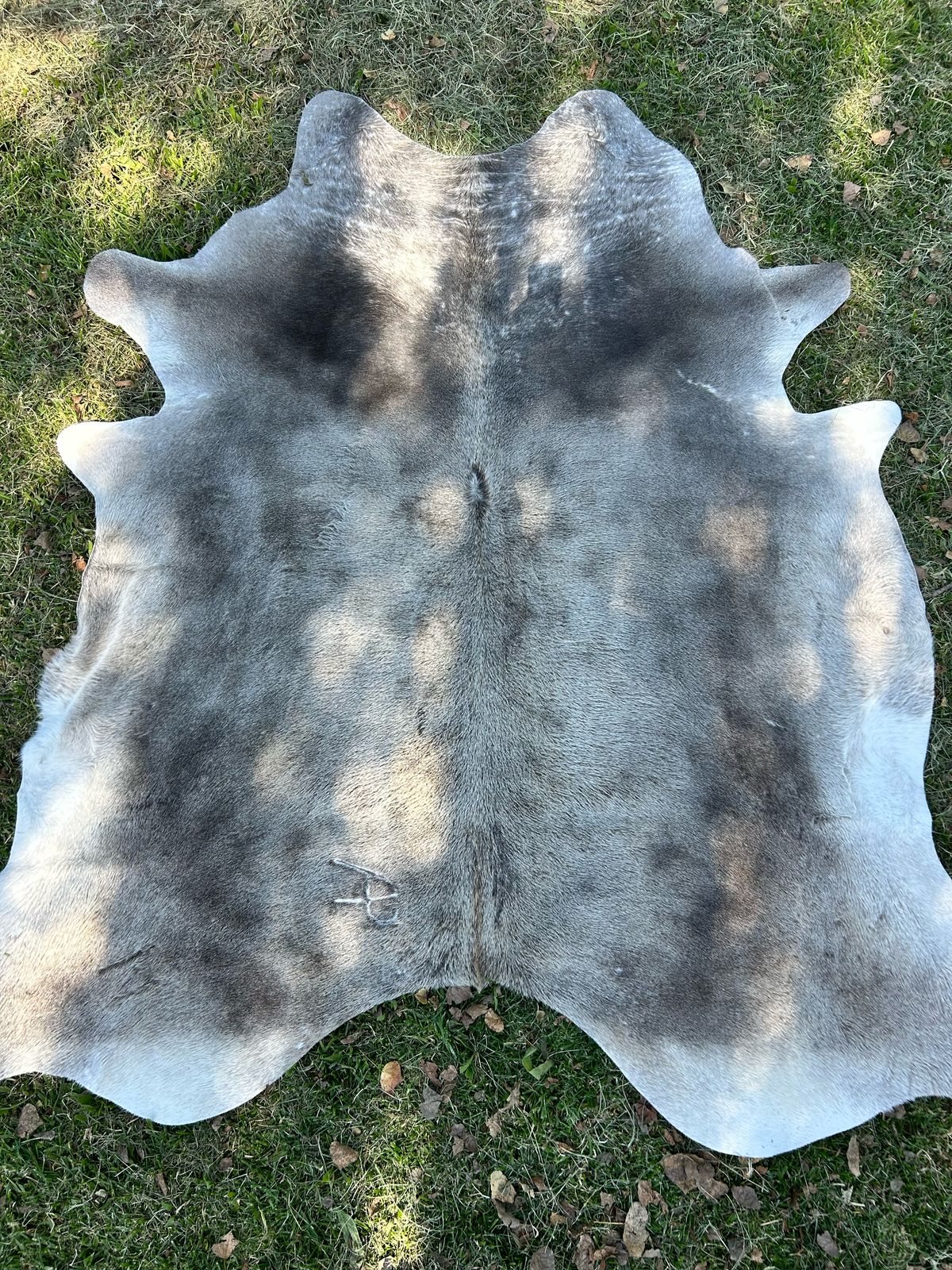 Hides, Skins and Mats