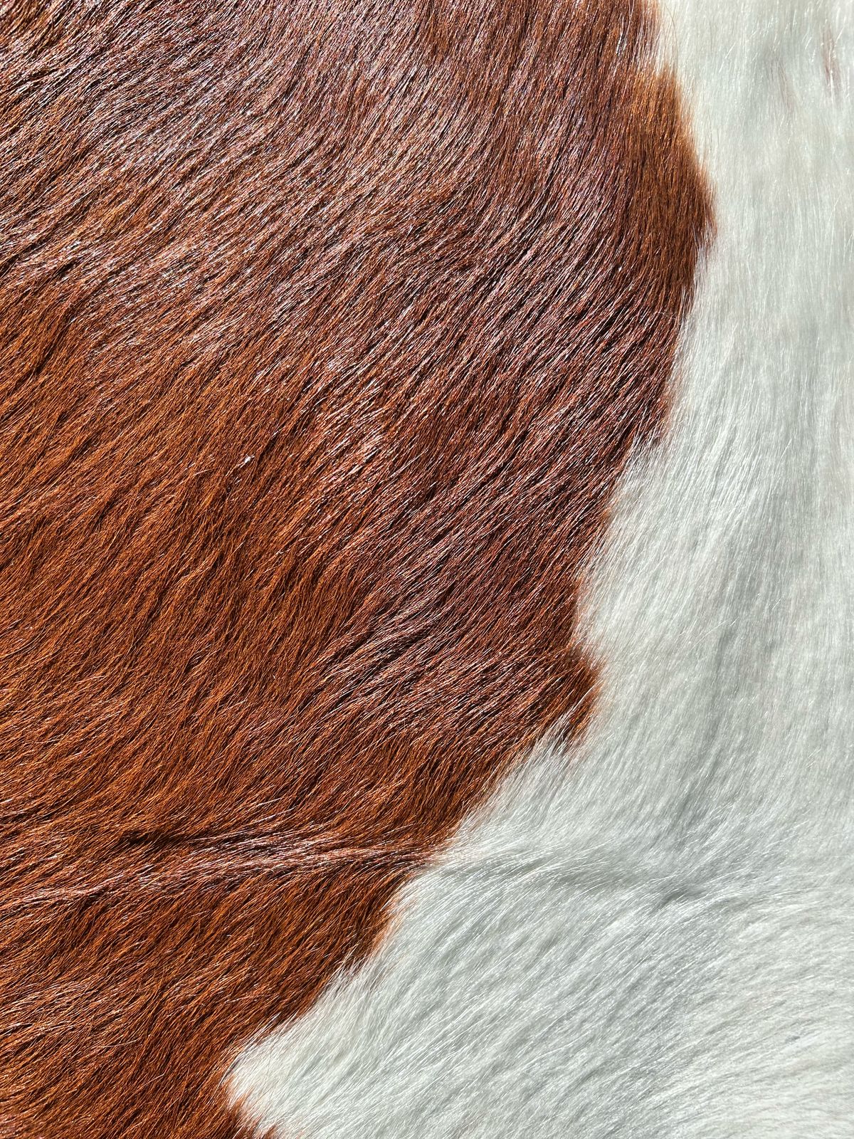 Hides, Skins and Mats
