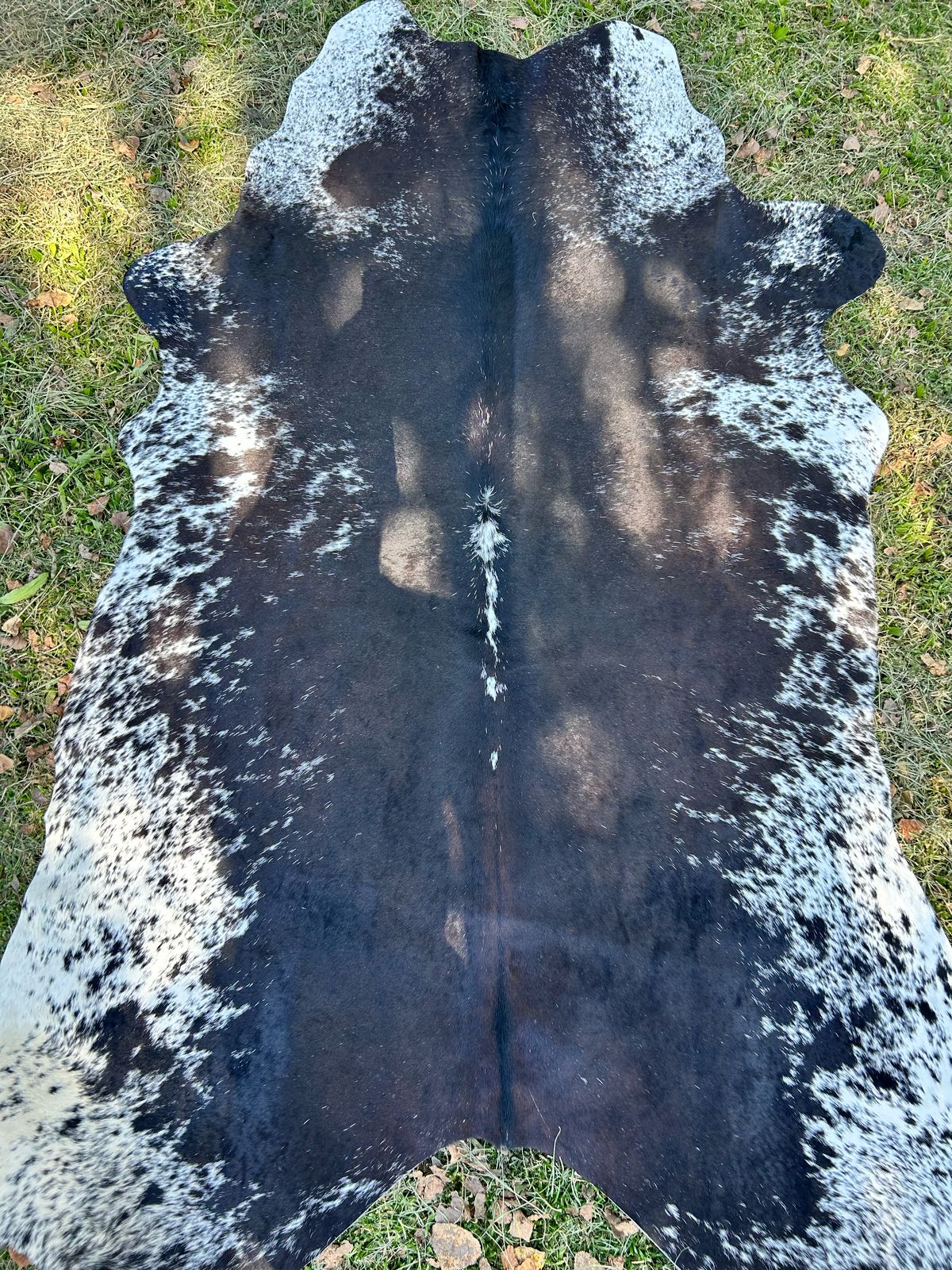 Hides, Skins and Mats