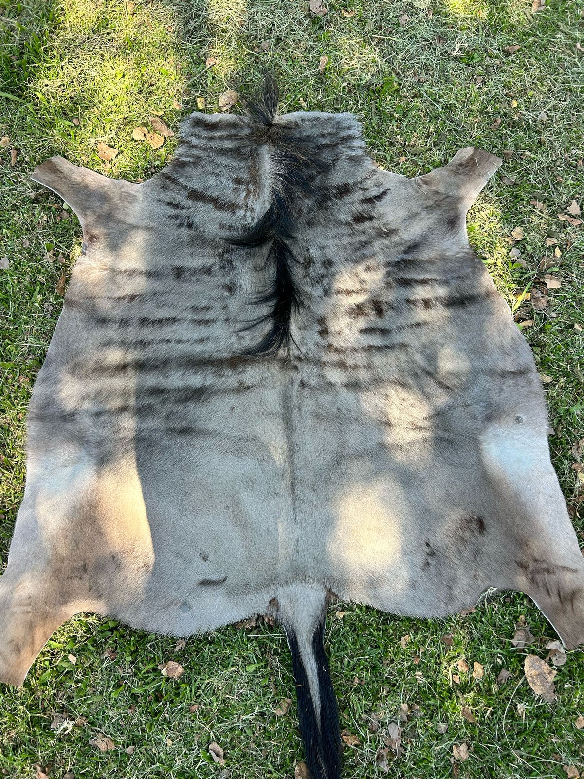 Hides, Skins and Mats