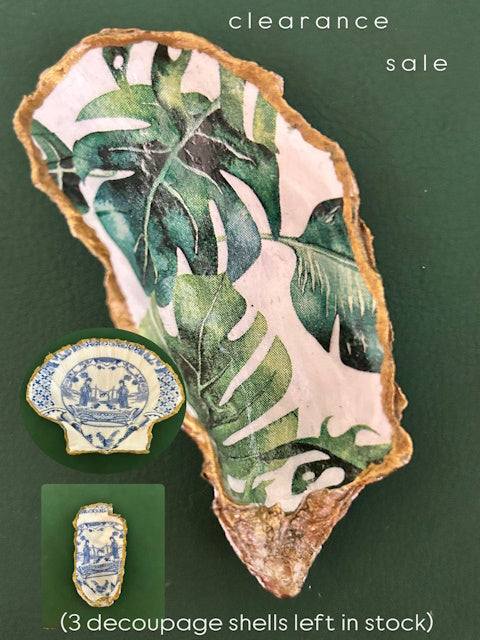 Decorative Sea Shells