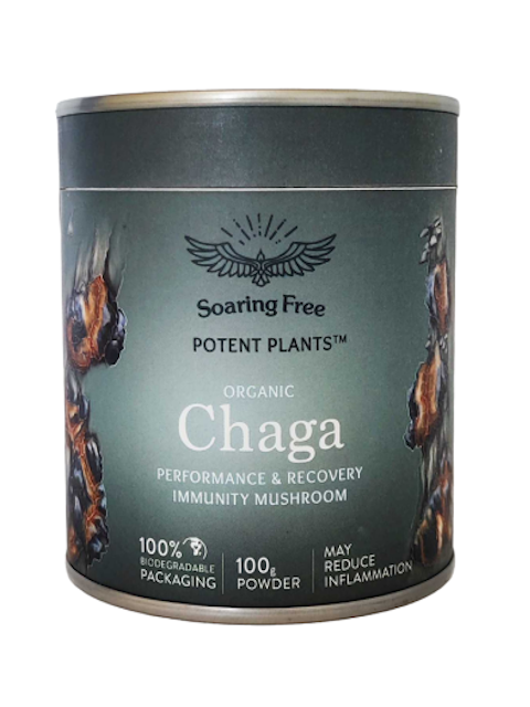 Chaga Mushroom Powder 100g