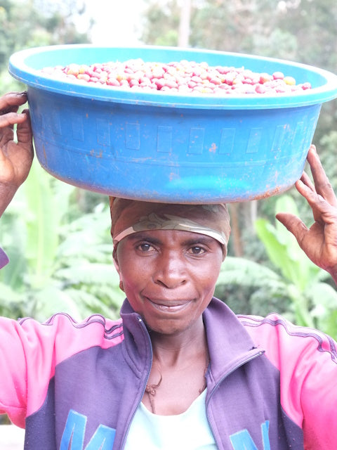 Certified Organic Coffee | D.R. CONGO (North Kivu)