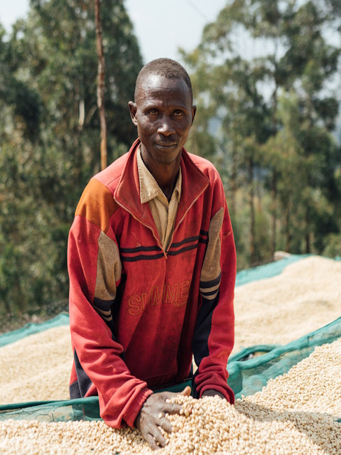 Fair Trade Certified Coffee | Rwanda (Musasa)
