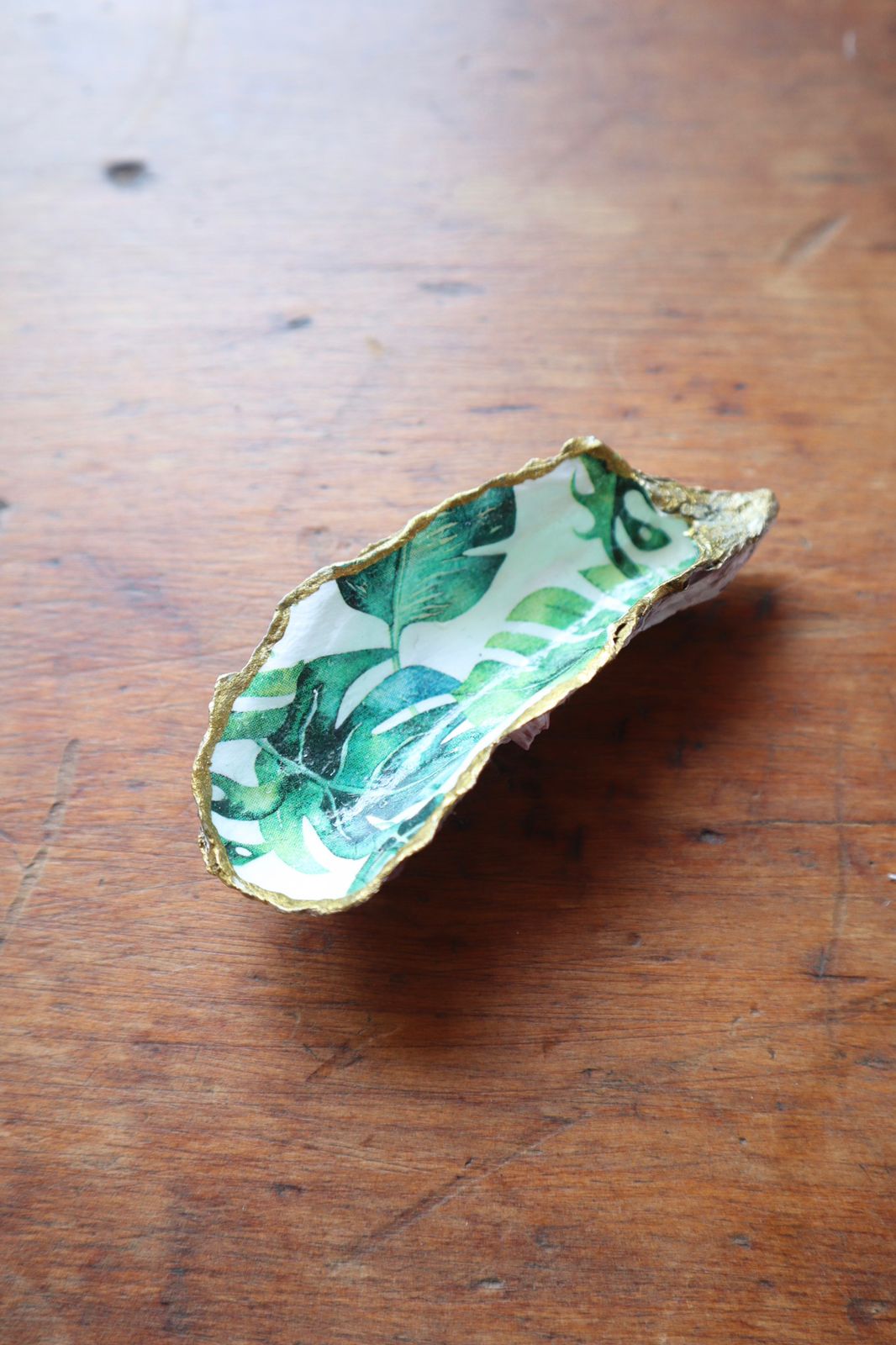 Decorative Carapace, by Opgedollie - Truffle Pig Recce