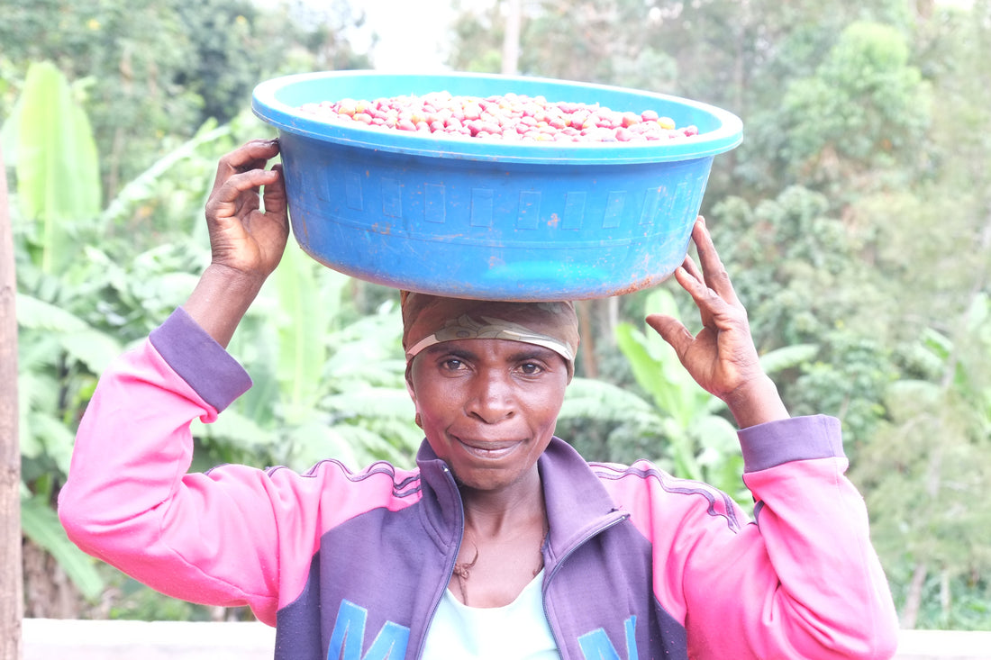 Cooperative Coffee in Africa