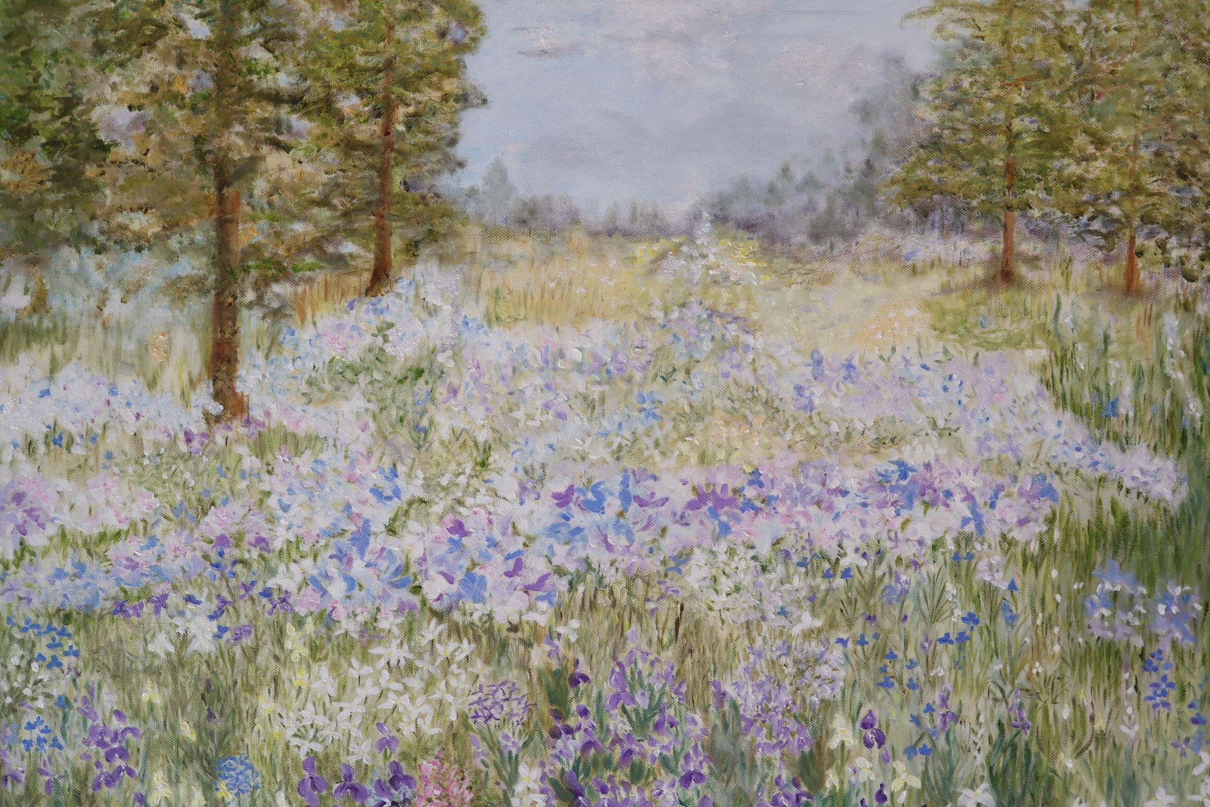 Oil Paintings
