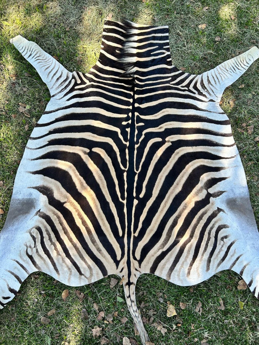 Hides, Skins and Mats