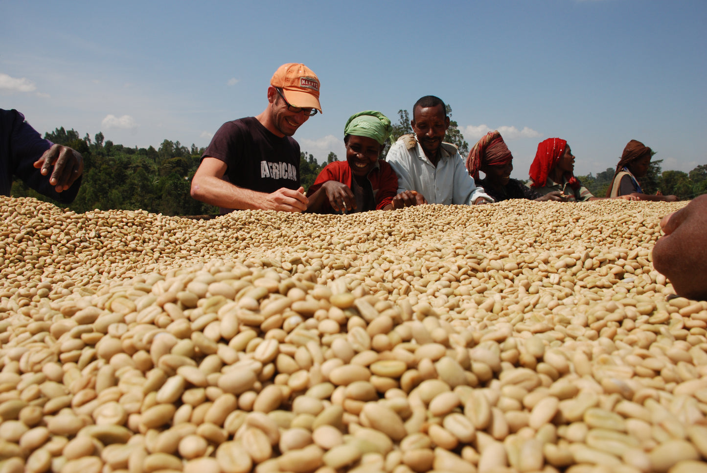 Certified Organic Coffee | Ethiopia (Sidamo)