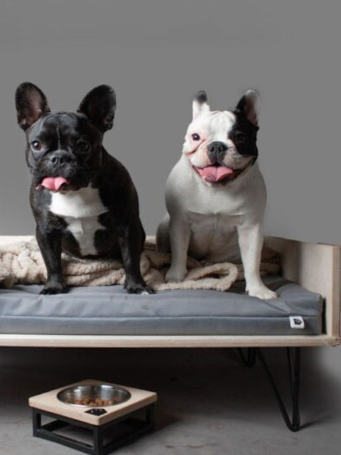 Square Dog Bed