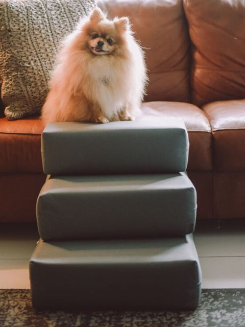 Foam Pet Steps