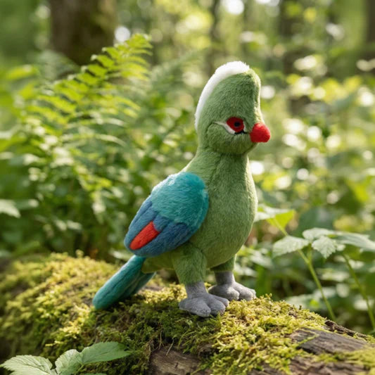 Feather Friends Gift Pack for Little Birders