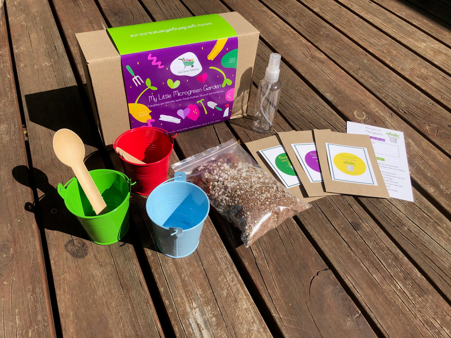 Microgreen kids growing kit | shop today