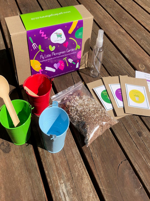 Microgreen kids growing kit | shop today