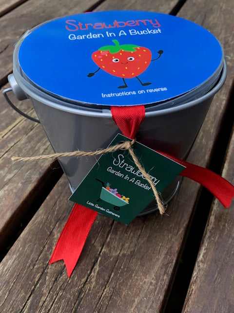 Strawberry Garden in a Bucket