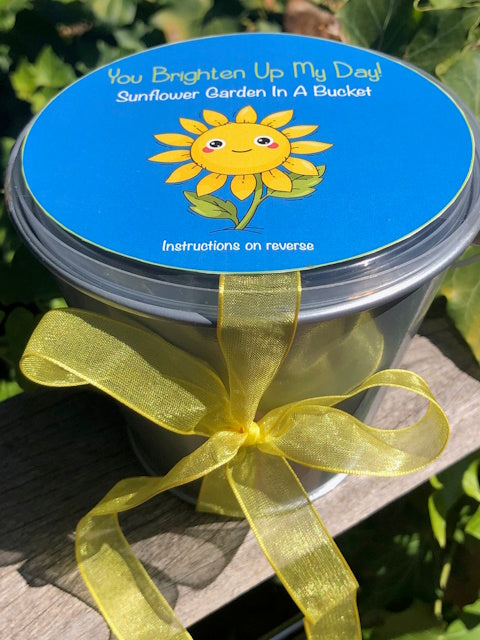 Sunflower kit for kids south africa