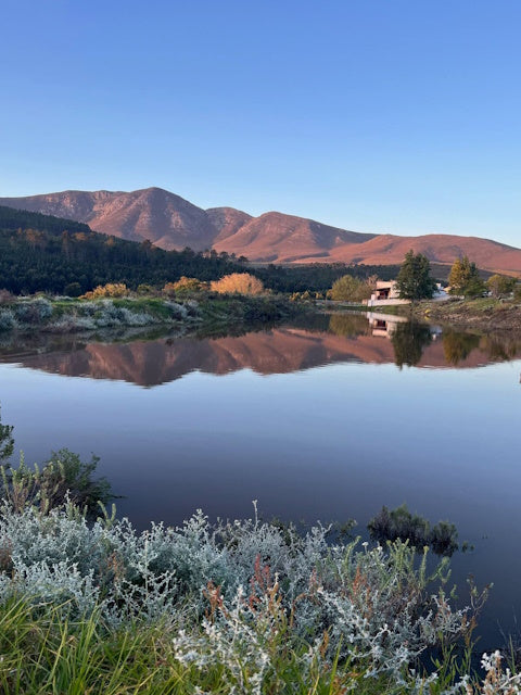 Stanford Valley Farm Stay | 6 Sleeper