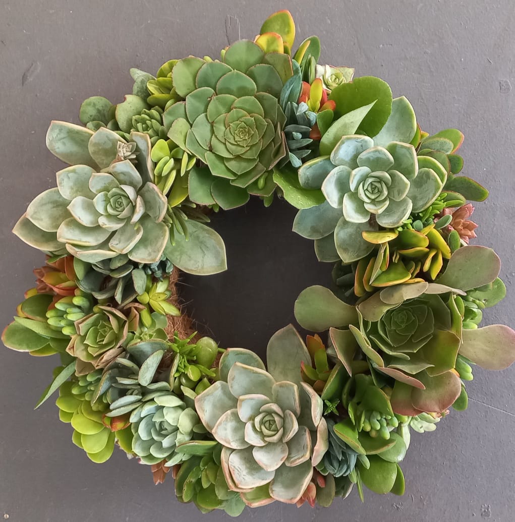 Living Christmas Wreaths, by Earthbound Succulent Designs