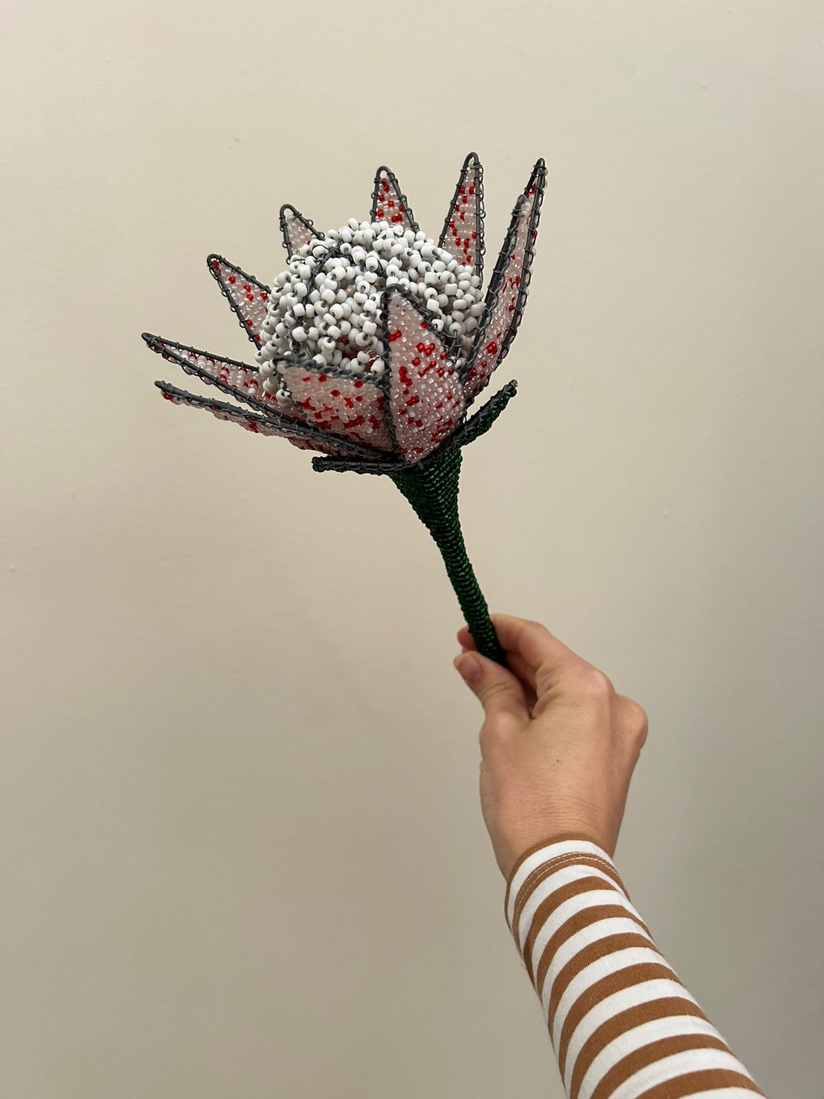 Wire and Bead Proteas